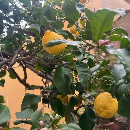 Appartamento Vicino Al Mare 莫内利亚 外观 照片